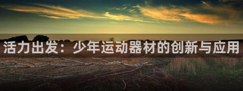 凯捷体育娱乐首页官网下载:活力出发:少年运动器材的创新与应用