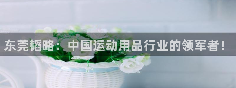 凯捷体育集团E.ON:东莞韬略:中国运动用品行业的领军者!