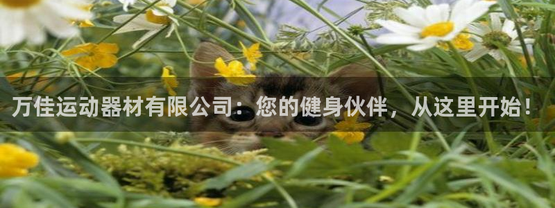 凯捷体育招商电话号码是多少号:万佳运动器材有限公司:您的健身