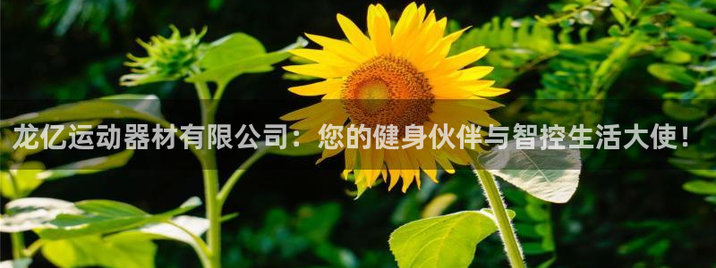 凯捷体育开户:龙亿运动器材有限公司:您的健身伙伴与智控生活大