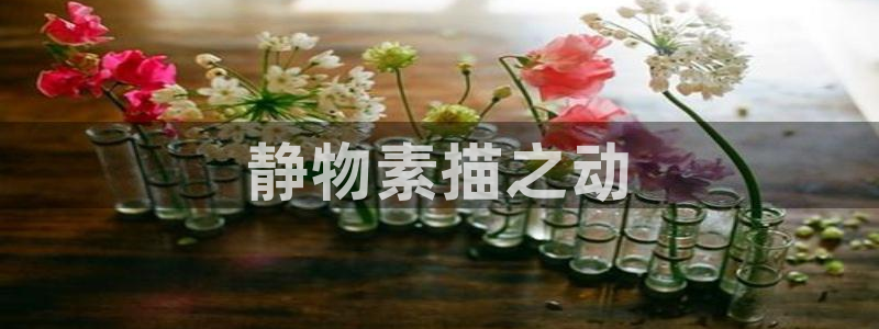 凯捷体育集团官网网址:静物素描之动
