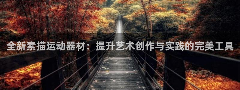 凯捷体育代理:全新素描运动器材:提升艺术创作与实践的完美工具